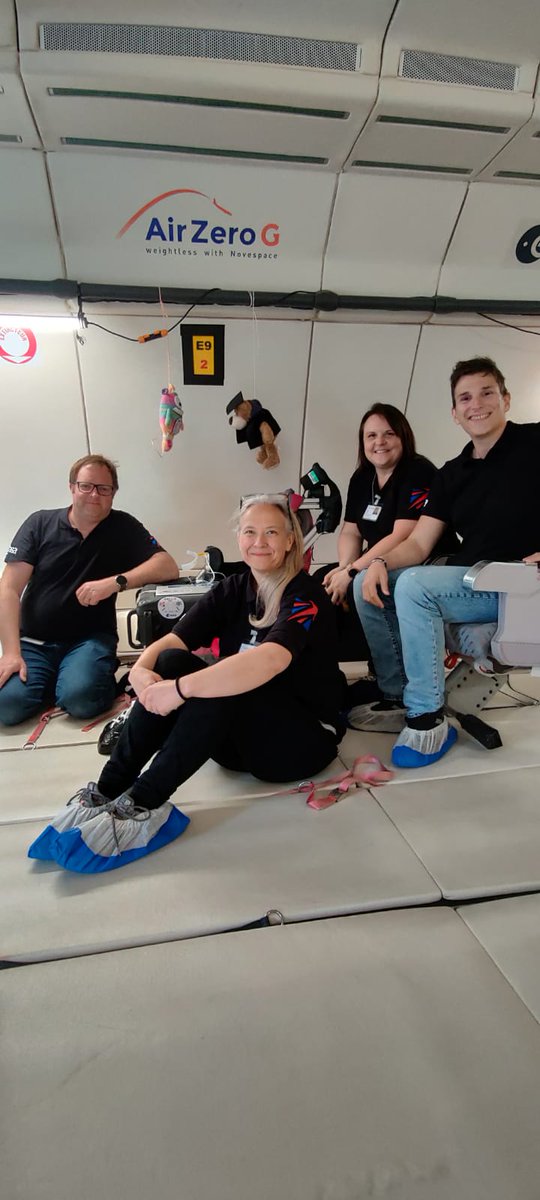 Gell-p Project tweet media