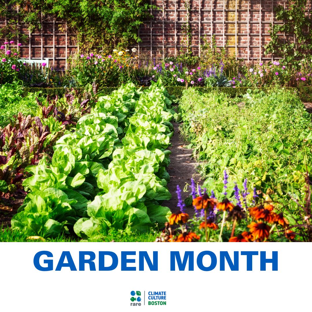 April is #GardenMonth! Whether you're starting a garden at home or joining a community garden, you're contributing to a healthier planet. Discover more about sustainable food solutions on our website: bit.ly/3PPRW4u