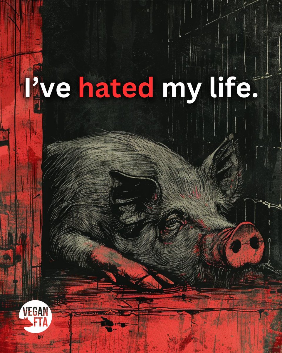 What was the worst day of your life? 🤔

Can you imagine if everyday was as bad as that? Because that's what farmed animals have to endure every single day of their lives... 💔

Animals deserve better. Be vegan.

#vegan #animalrights #govegan