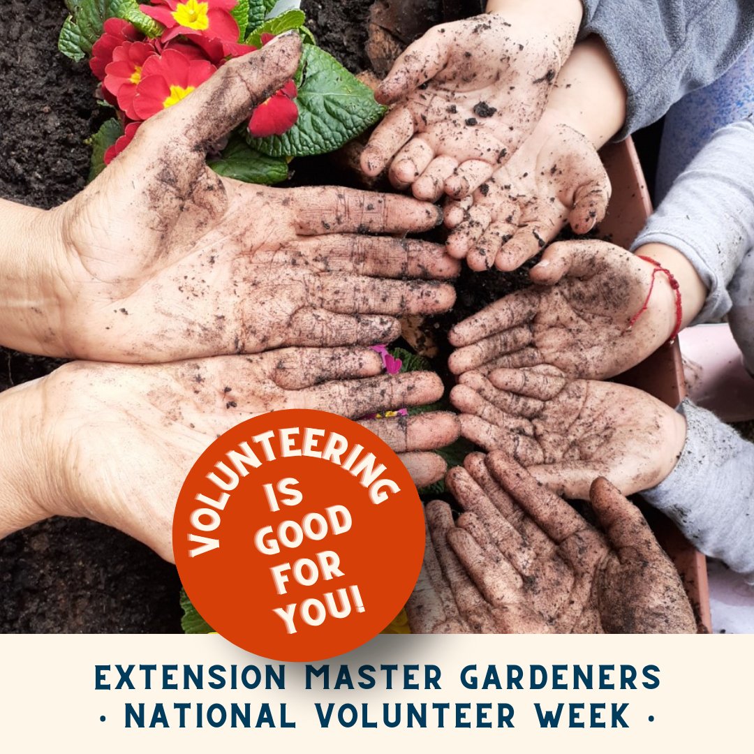 Volunteering isn't just great for your community, it's good for you! Research shows that volunteering offers physical and mental health benefits including increased feelings of belonging &amp; purpose, reduced stress, &amp; increased connectedness &amp; learning. col.st/L9nSj