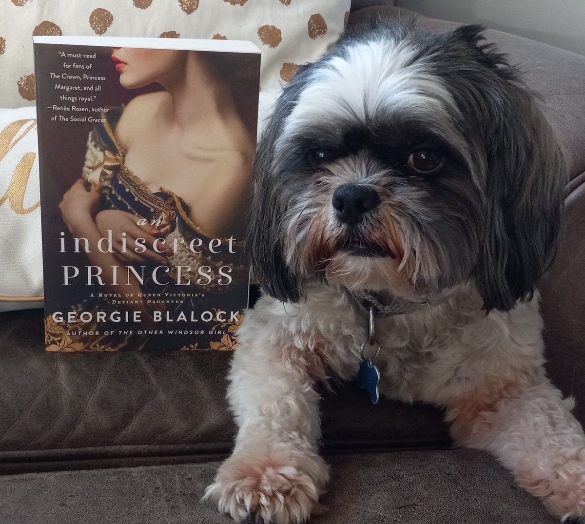 M writing partner wants you to know that AN INDISCREET PRINCESS on Kindle is $1.99 until 4/18. Add it to your summer reading list!

#kindle #kindledeal #kindlesalealert #kindlesale #booksale #shihtzu #dog