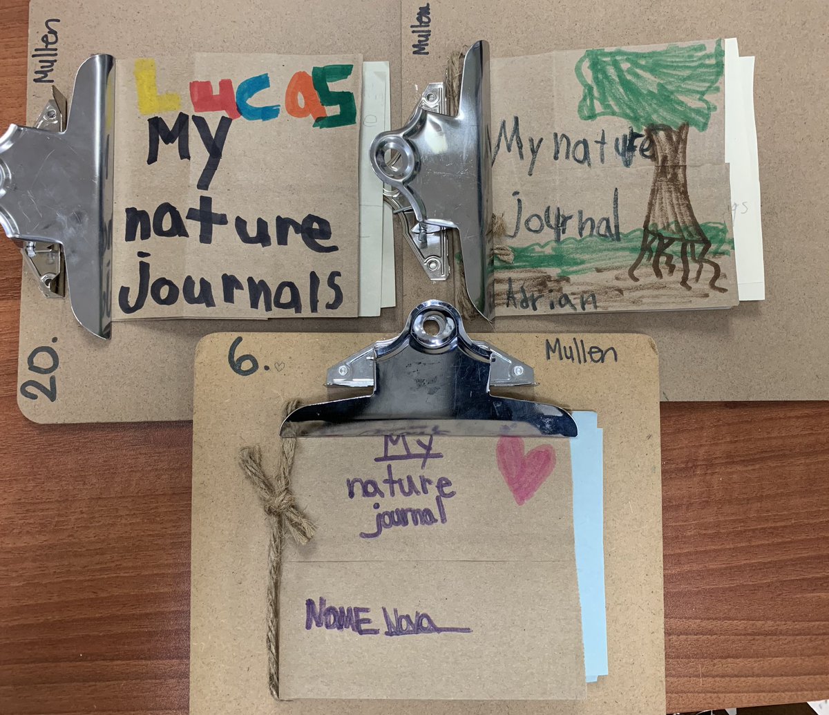 mrsmullen9's tweet photo. We took our 'sit spots' outside this afternoon and wrote in Nature journals. We recorded information using our senses. 🌿🌎@StStephenOCSB #STEgreen #EarthWeek https://t.co/95cOvwgRtK