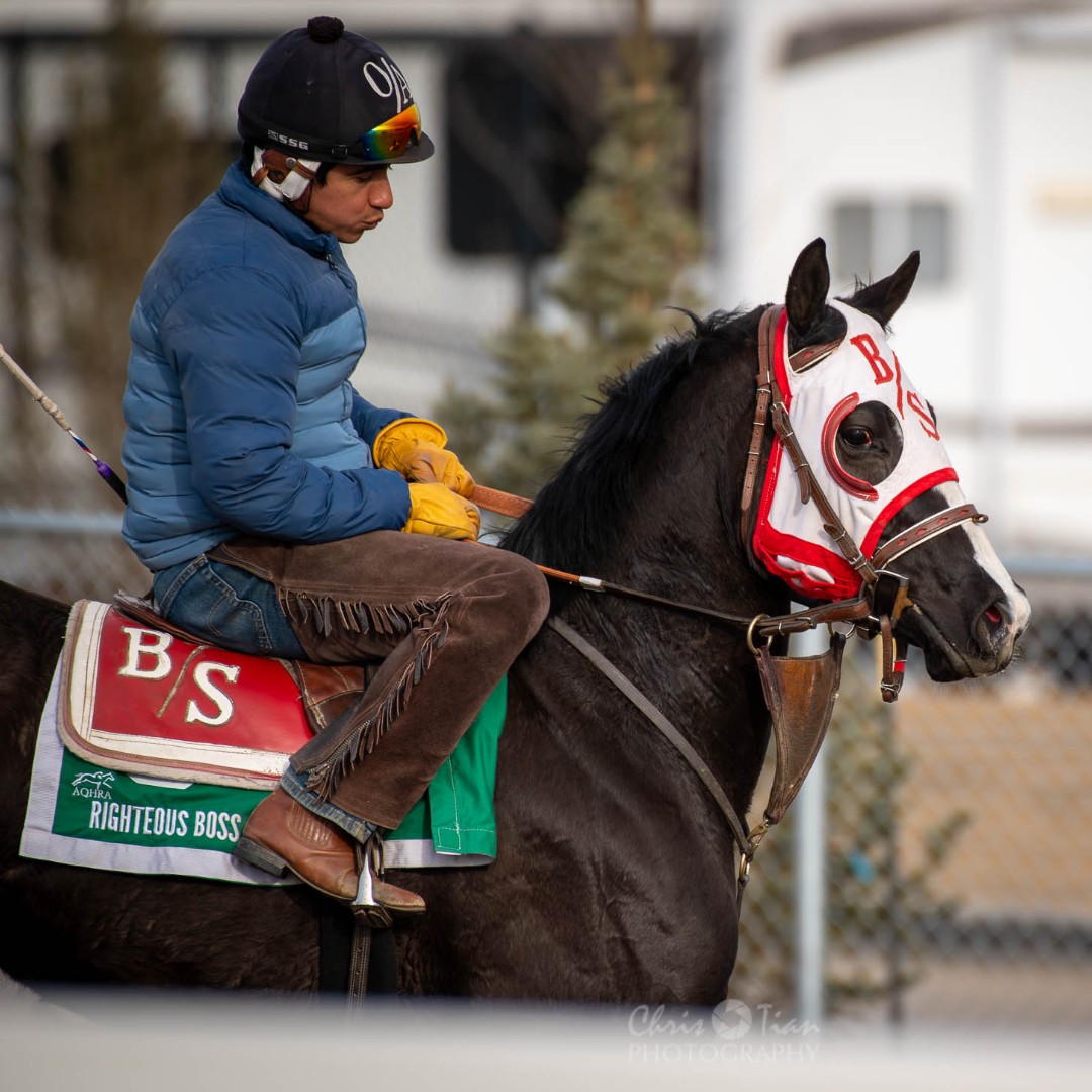 cntymile's tweet photo. Spring training! 🐴🐴🐴

We are just 19 DAYS away from the start of the new Thoroughbred and Quarter Horse season (But who is counting?!)

Thanks Chris Tian Photography for capturing these great shots! https://t.co/IzlIWh9lCi