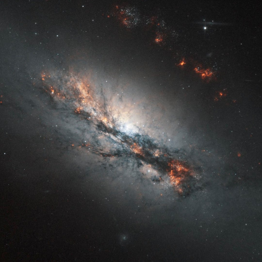 Meet NGC 2146. At 70 million light-years away, the galaxy in this #HubbleClassic view has an odd feature seen at front-and-center. One of its spiral arms looks looped in front of the galaxy's core, likely caused by a nearby galaxy's gravitational pull: go.nasa.gov/4d16jgn