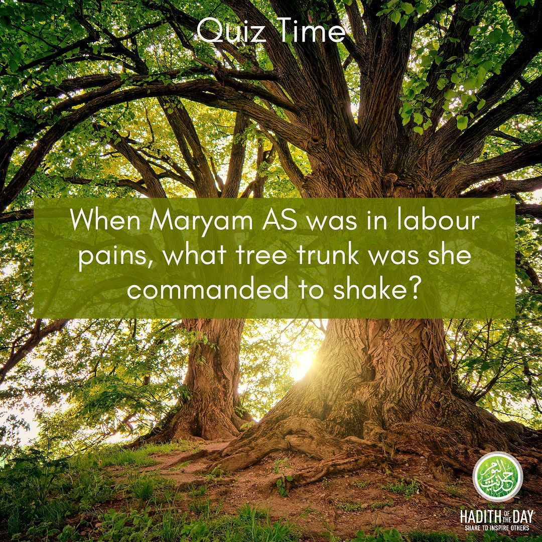 Hadithoftheday's tweet image. *Quiz Time*