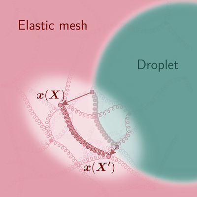 PhysRevX's tweet photo. Standard descriptions of phase separation in elastic systems fail to explain structural patterns that emerge. A new theory based on nonlocal elasticity successfully does so.

Read https://t.co/sJV4Rf9N8Q

@ZwickerGroup @mpids

#openaccess #PRXsoft #PRXjustpublished https://t.co/HpxOdmZuic