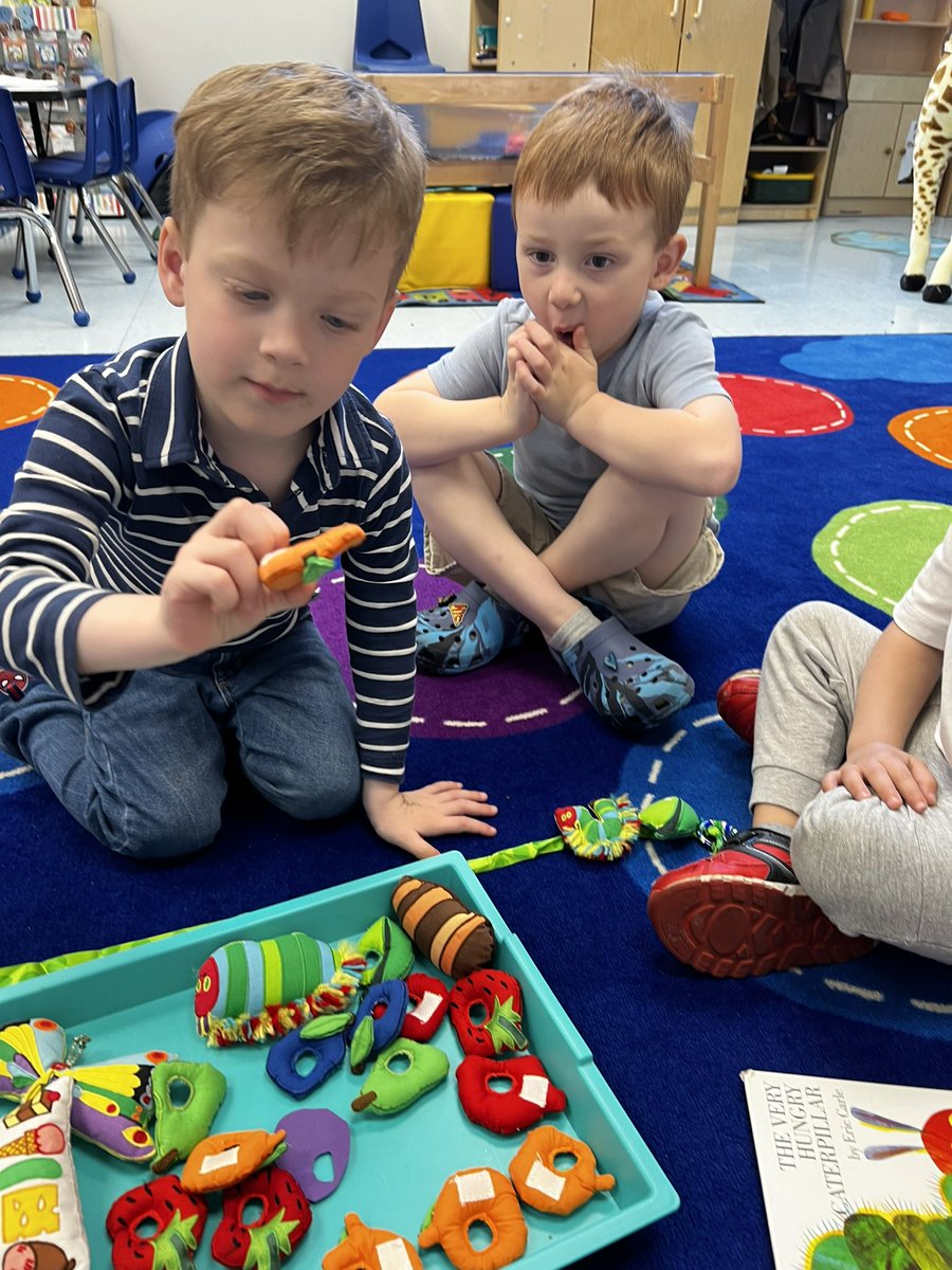 slevin_prek's tweet photo. The Hungry Little Caterpillar retell! 🐛 Ask me how the story started and how it ended! #fhleads #insectstudy https://t.co/JvACormzhW