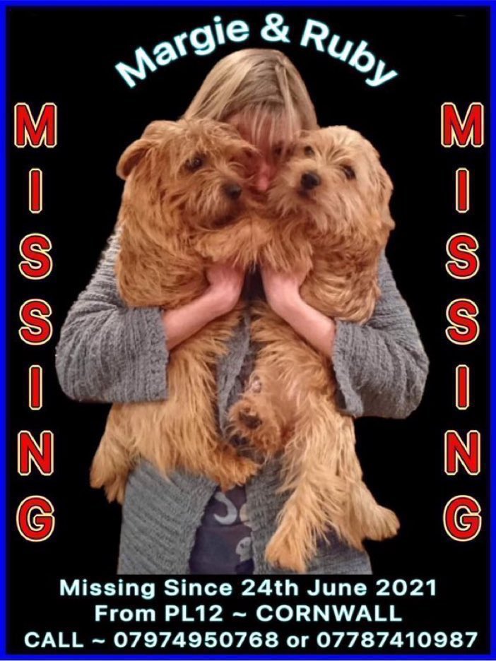 Please RT #k9hour 🙏 Have you seen Margie & Ruby ?
They were stolen from their farm between Landrake & Pillaton in SE #Cornwall #PL12 on 24th June 2021. 
Someone somewhere knows where they are.
Please let these girls go home where they belong 😢🙏 #NorfolkTerriers #dogs #Monday