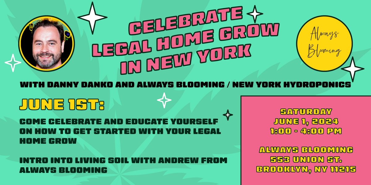 DannyDanko tweet media