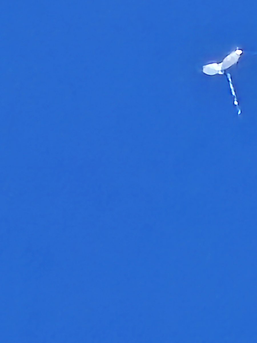 PeterGriff999's tweet photo. #UFOSightings https://t.co/b4WwOe3K1y