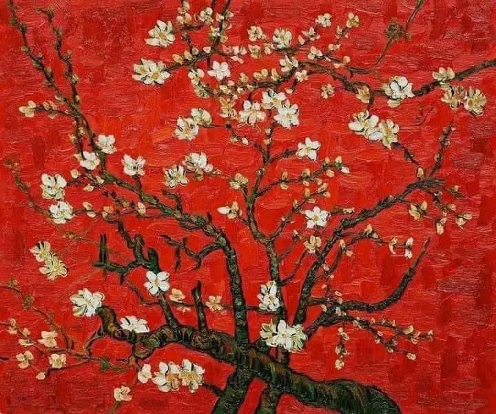 Vincent Van Gogh - (1853 - 1890)
Ramas de un almendro en flor. 1890. Óleo sobre lienzo.