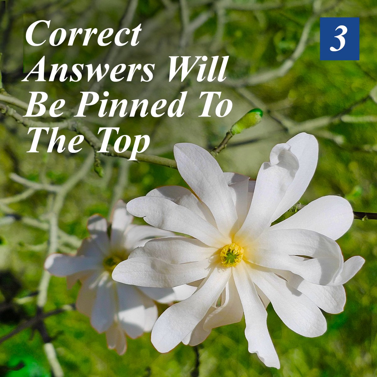 _WanderingTree's tweet photo. What’s It Called?

A flower guessing game brought to you by @wanderingtree

Give it your best shot and leave your answers below. We will pin the correct answers to the top of the comments.

(First Correct, First Pinned)

#illinoisvenue #countrygarden #botanicgarden #flowers https://t.co/qJ6s51NDNZ
