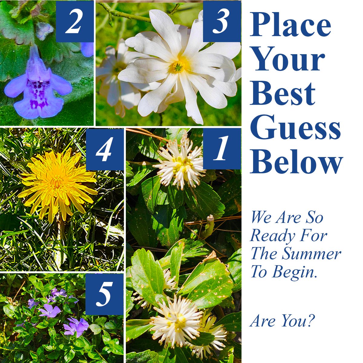 _WanderingTree's tweet photo. What’s It Called?

A flower guessing game brought to you by @wanderingtree

Give it your best shot and leave your answers below. We will pin the correct answers to the top of the comments.

(First Correct, First Pinned)

#illinoisvenue #countrygarden #botanicgarden #flowers https://t.co/qJ6s51NDNZ