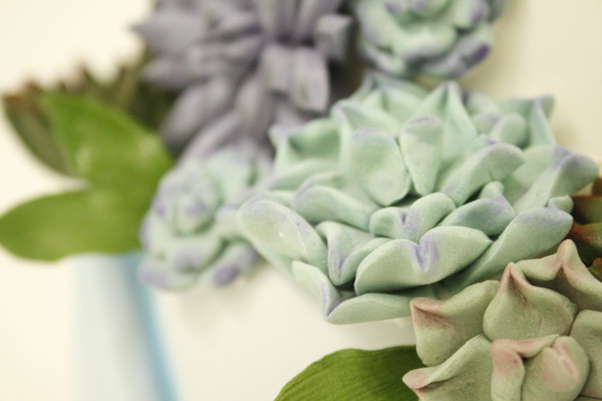 Here's a little detail shot of a succulent custom cake we did awhile back. #succulent #succulentcake #plantlover #sugarart #customcakes #detailshot #detail #sculptedcake #cake #aceofcakes #charmcitycakes