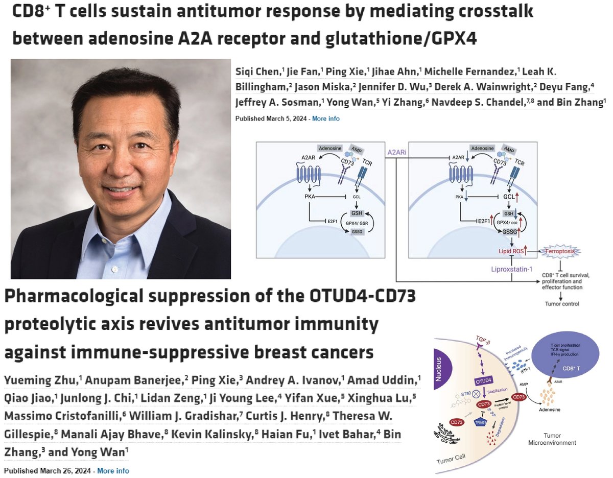Emory Pharmacology & Chemical Biology (@pharmchembio) on Twitter photo Congratulations to Dr. Yong Wan and his team for two recent publications in the Journal of Clinical Investigation <a href="/jclinicalinvest/">Journal of Clinical Investigation</a> !
jci.org/articles/view/…
jci.org/articles/view/… Congratulations to Dr. Yong Wan and his team for two recent publications in the Journal of Clinical Investigation <a href="/jclinicalinvest/">Journal of Clinical Investigation</a> !
jci.org/articles/view/…
jci.org/articles/view/…