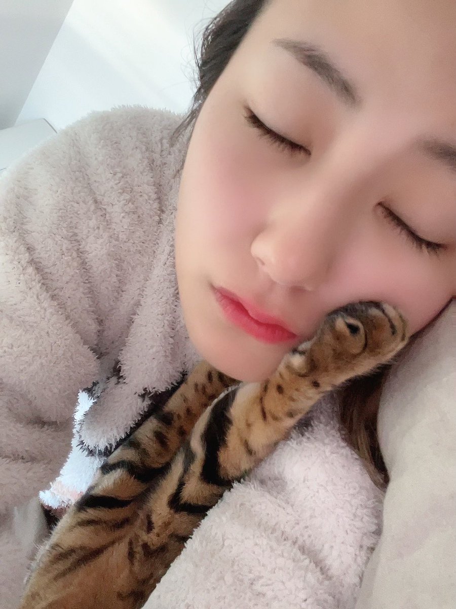 fukunagarib3's tweet photo. 今日は休みたい、寝たい、何もしたくない〜
って日でも、ちゃんと会社や仕事行って頑張ってる人が世界に何万人いるのかな？とか考えたら……自分も頑張るしかないぜ。

私も誰��のパワーの源になってるはず。

でも、
思い切って休んじゃうのもいいと思うの🫶🏻

……ねぇラブたん、手どけてくれる？？🐾 https://t.co/8NZFfDXSZg