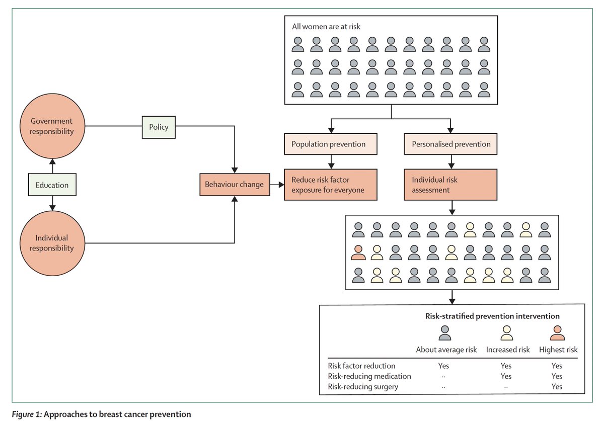 EricTopol's tweet photo. How can we reduce breast cancer and its adverse outcomes?
Individualized risk assessment, mentions polygenic risk score
🆕 @TheLancet Commmission 55-page report
https://t.co/oIoUuEpNR7
Risk factors: obesity, alcohol, physical inactivity, not breastfeeding (see Figure) https://t.co/0c0uqfgrIC