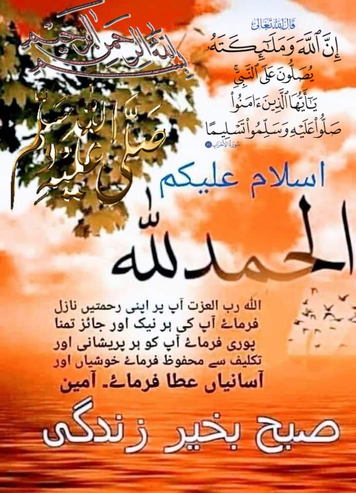 Abdul Majeed tweet media