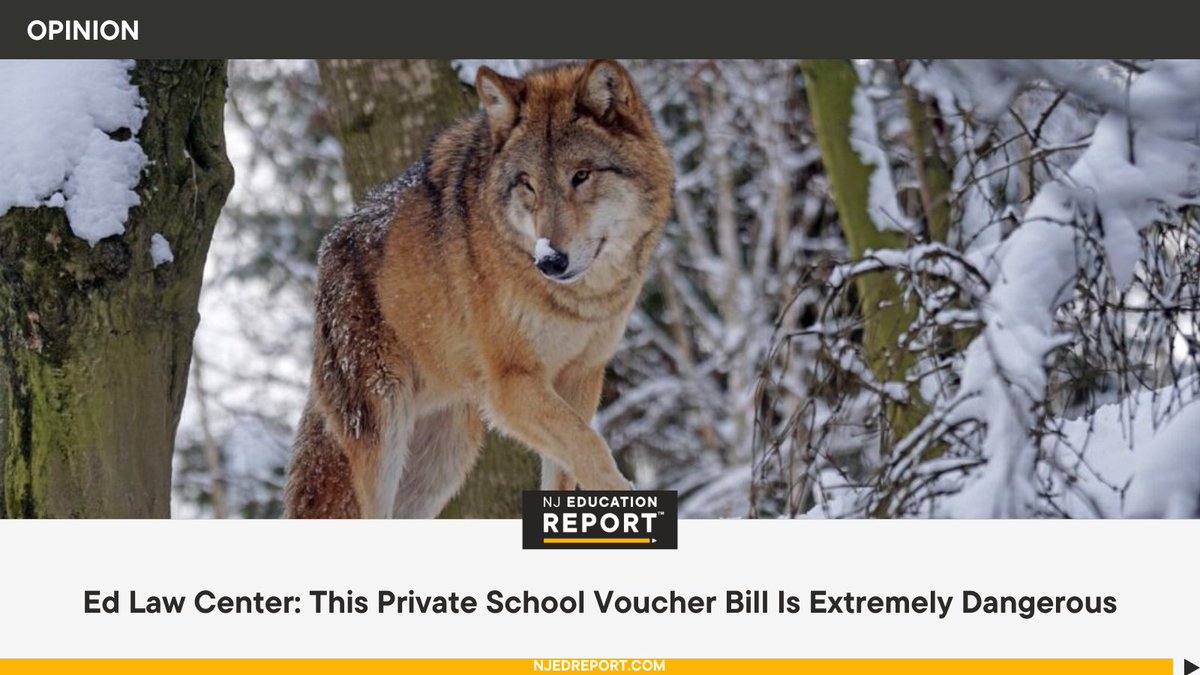 Ed Law Center: This Private School Voucher Bill Is Extremely Dangerous njedreport.com/ed-law-center-… #NJEdReport #NJSchools @EdLawCenter @edchoice #SchoolVouchers