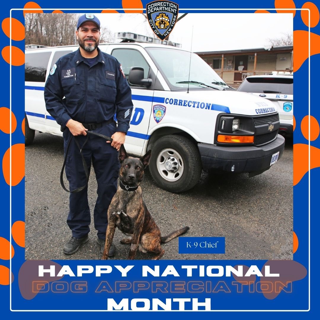 Today, in recognition of National #DogAppreciationMonth, a shout-out goes to K-9 Chief who is named in memory of the late #DOC Chief of Department Larry W. Davis Sr. Read more at bit.ly/49Capc3.