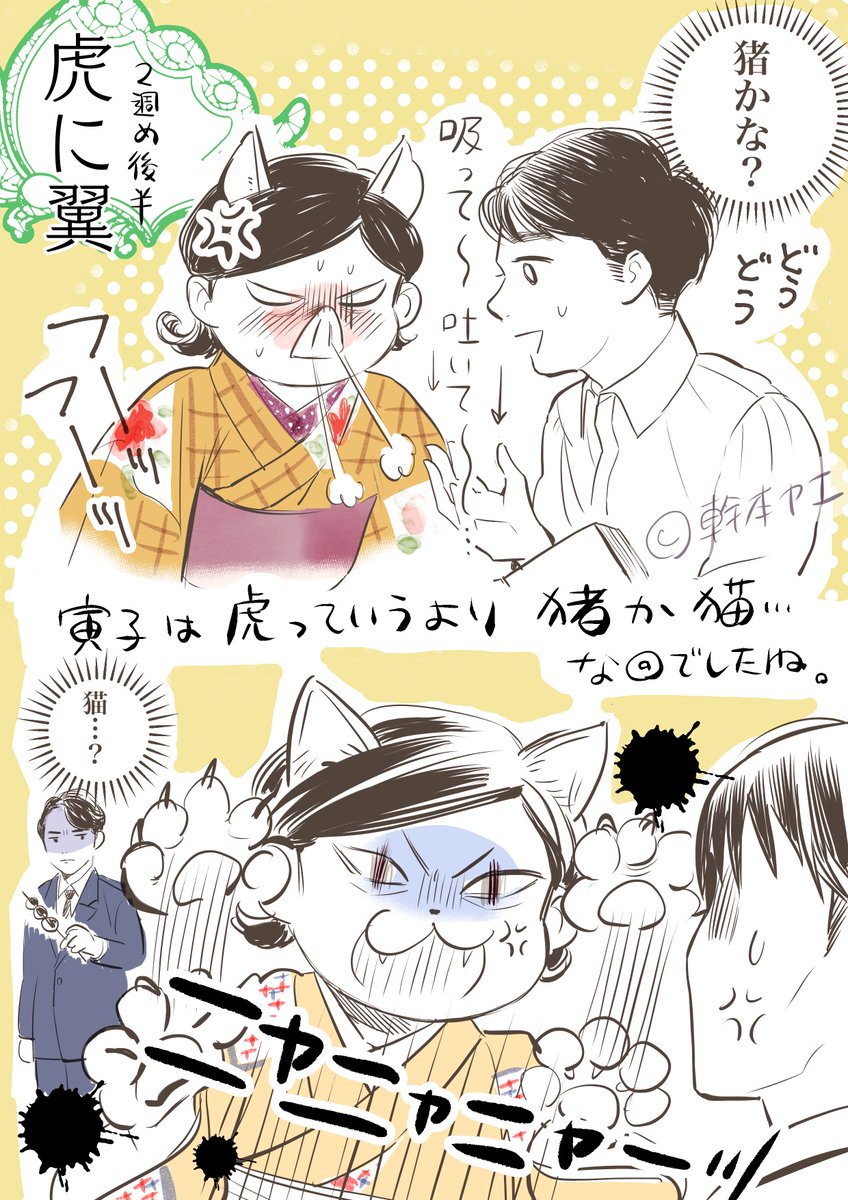 <虎に翼>二週目後半感想
•寅子が虎というより別のアニマルだったね...
•《旧制高校クラスタ大朗報》
梅子の回想に一高生でてきたぞー!!!!!!
(悲報→性格は悪そう)
相変わらず着物がかわいいね😍
#虎に翼 #虎に翼絵
