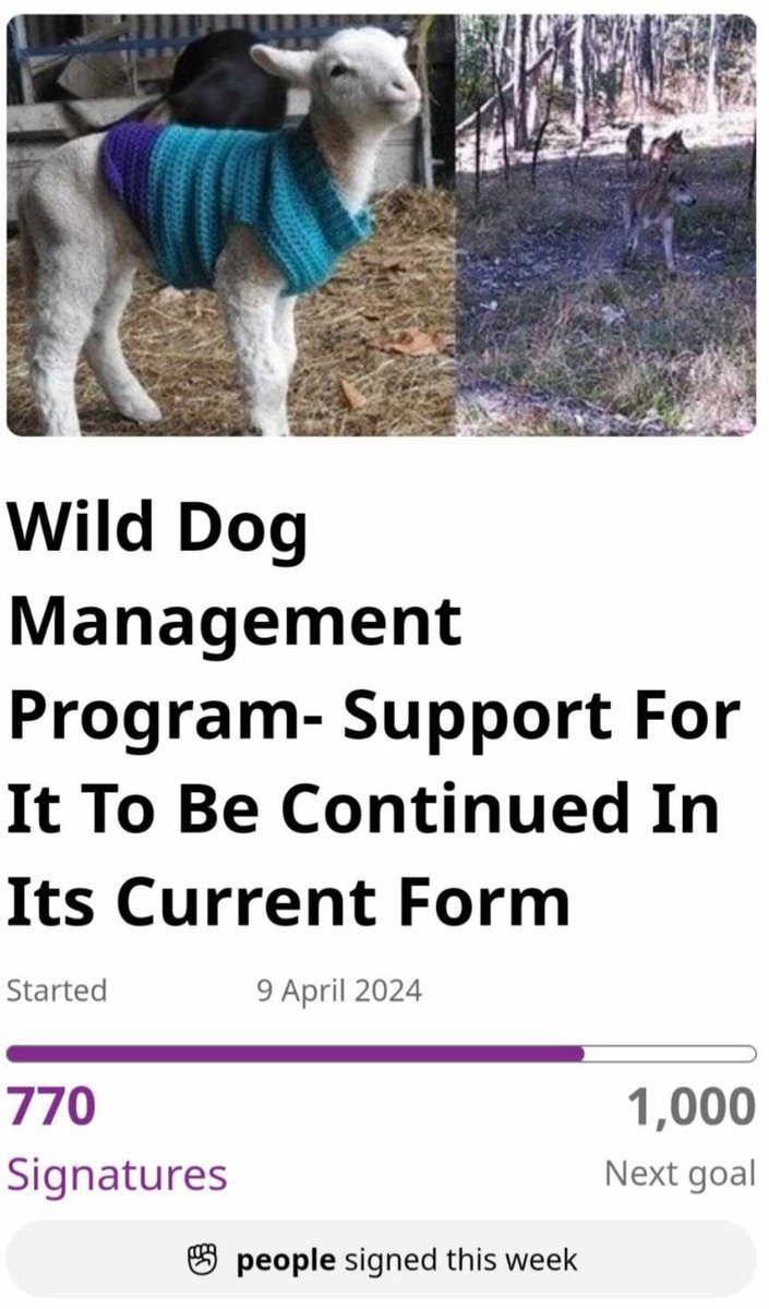 Please sign and share this petition to help support revoking the Order In Council which is currently under review (for completion 1st October 2024), that allows the lethal control of Dingoes to continue. It has to stop or they will definitely become extinct in Victoria❗️
Our