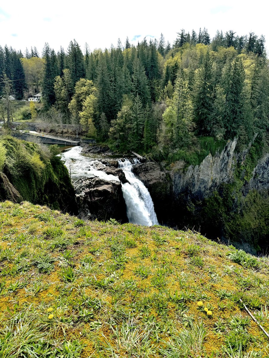 Andres Haro tweet media