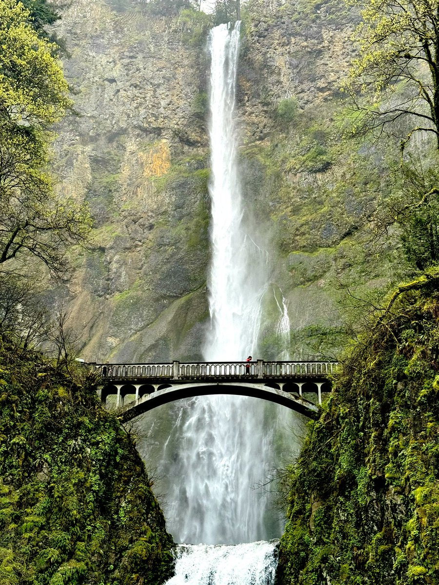 Andres Haro tweet media