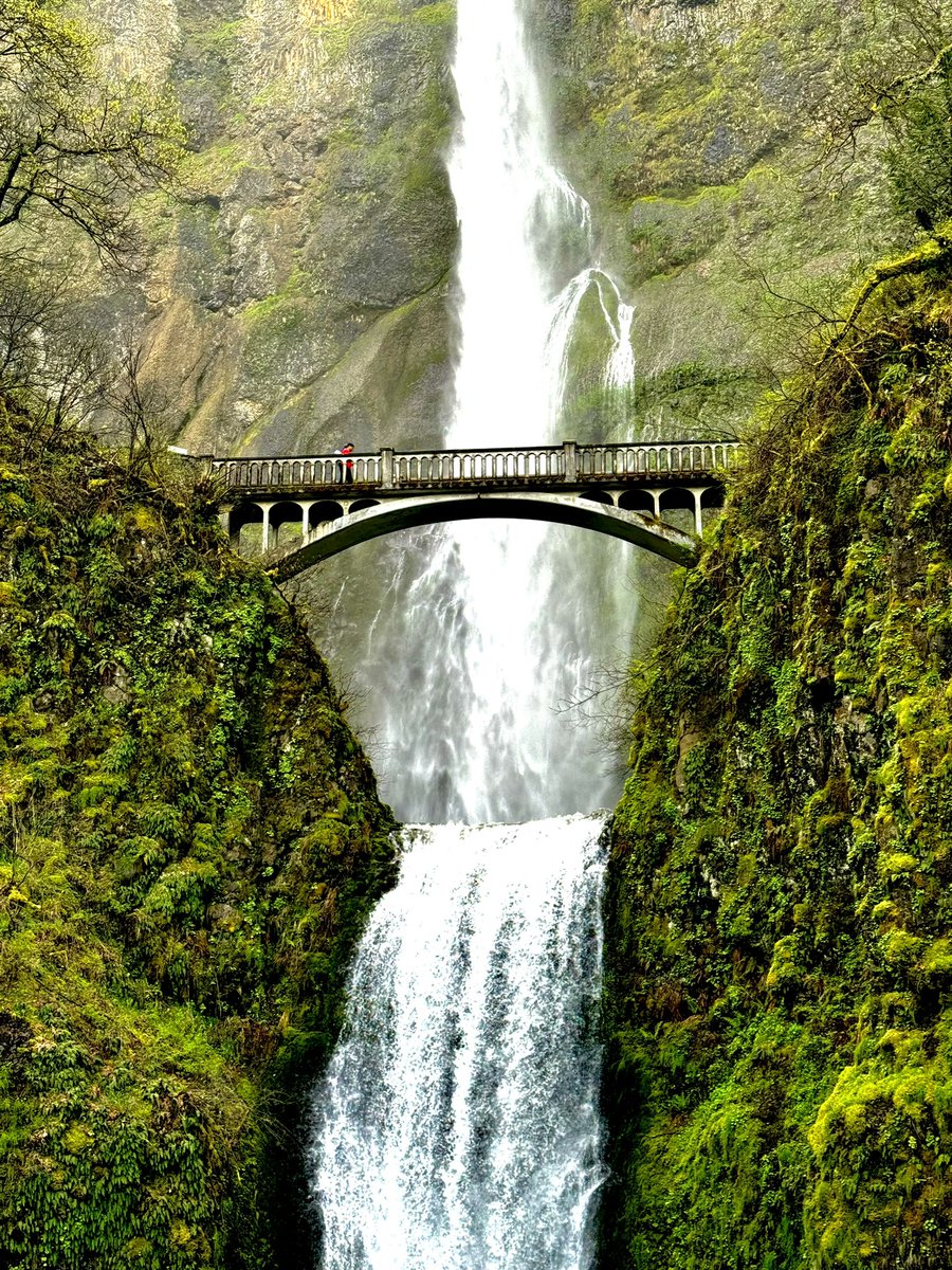 Andres Haro tweet media