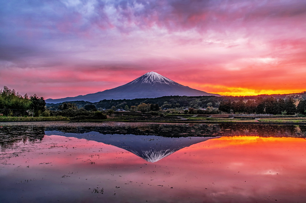 おはようございます。 水を入れ始めた里山の田んぼからの富士山と朝焼けの風景です！