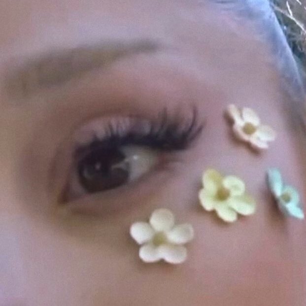 moonlightngo's tweet photo. ˚❀*·ꕤ pickin’ petals off of flowers like ˚❀*·ꕤ https://t.co/lyQt7wCCRn