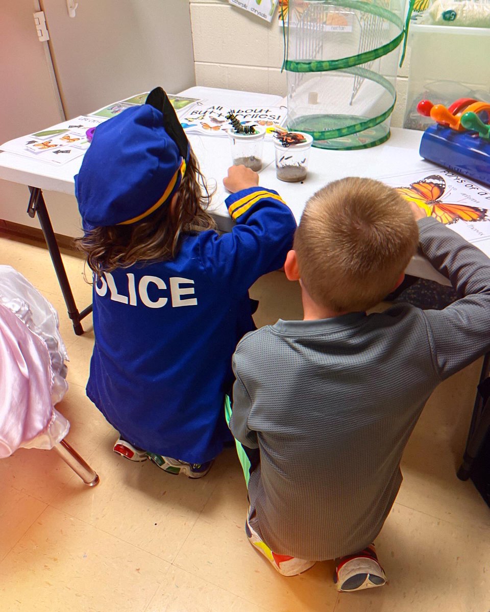 Sara Consdorf tweet media