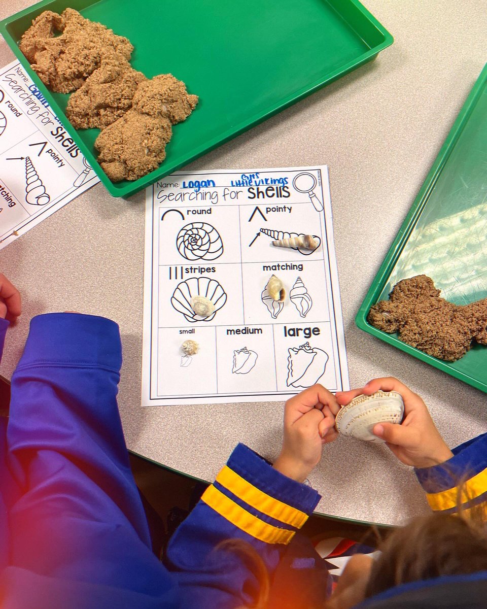 Sara Consdorf tweet media