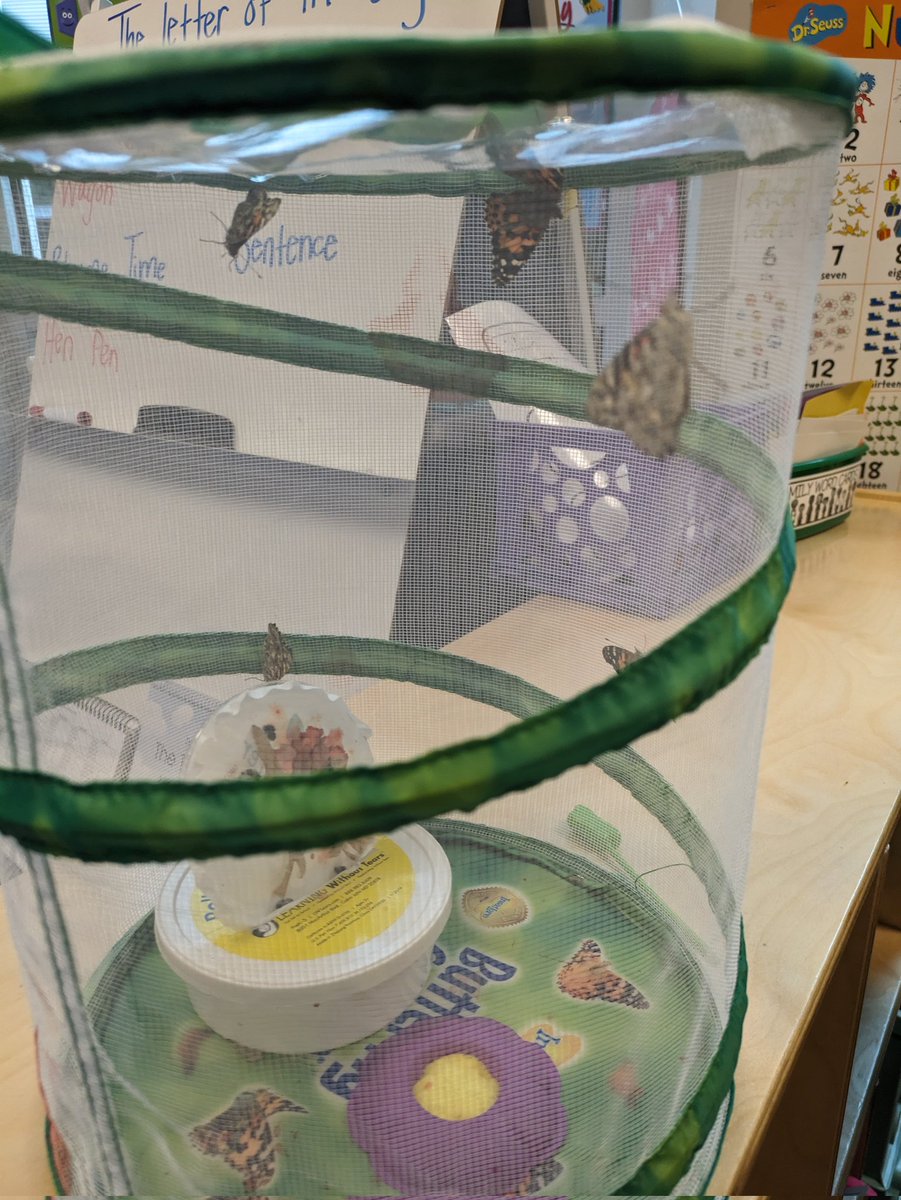 C Sadler tweet media