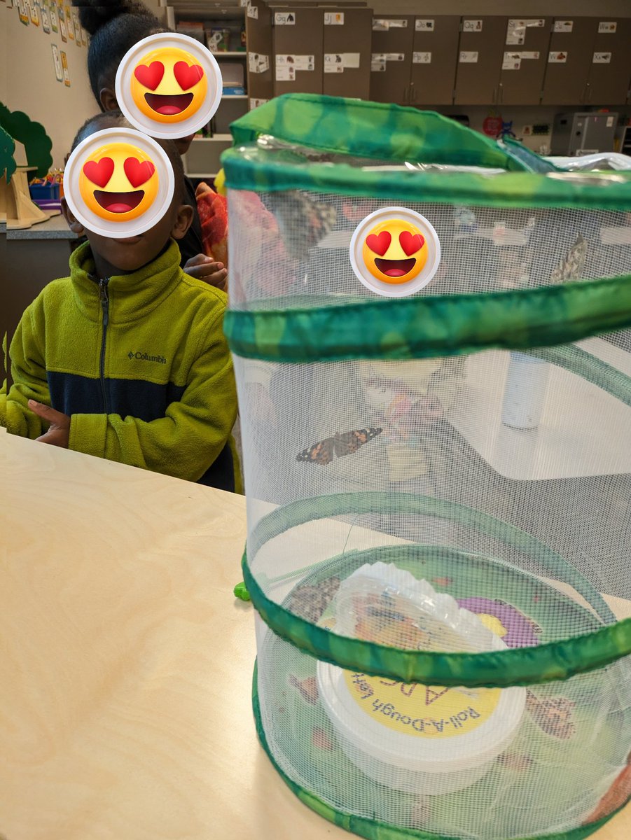 C Sadler tweet media