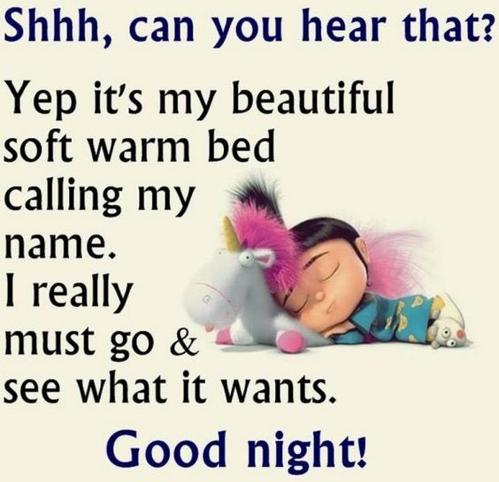 Goodnight everyone! I hope you all had a reason to smile today. Sleep well! #GoodnightEveryone #GoodNightTwitterWorld #GoodNightFriends #SleepWell