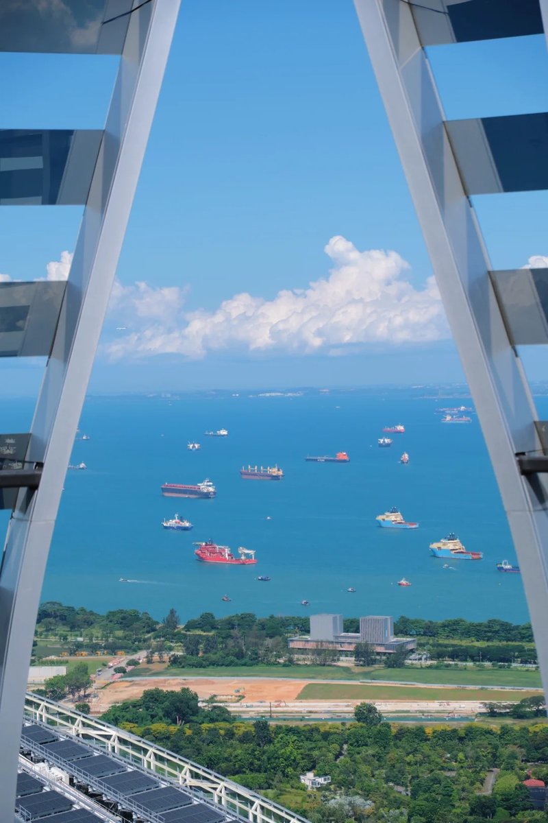 Richcscarrell's tweet image. 📷Singapore｜CapitaSpring🇸🇬Sky Garden