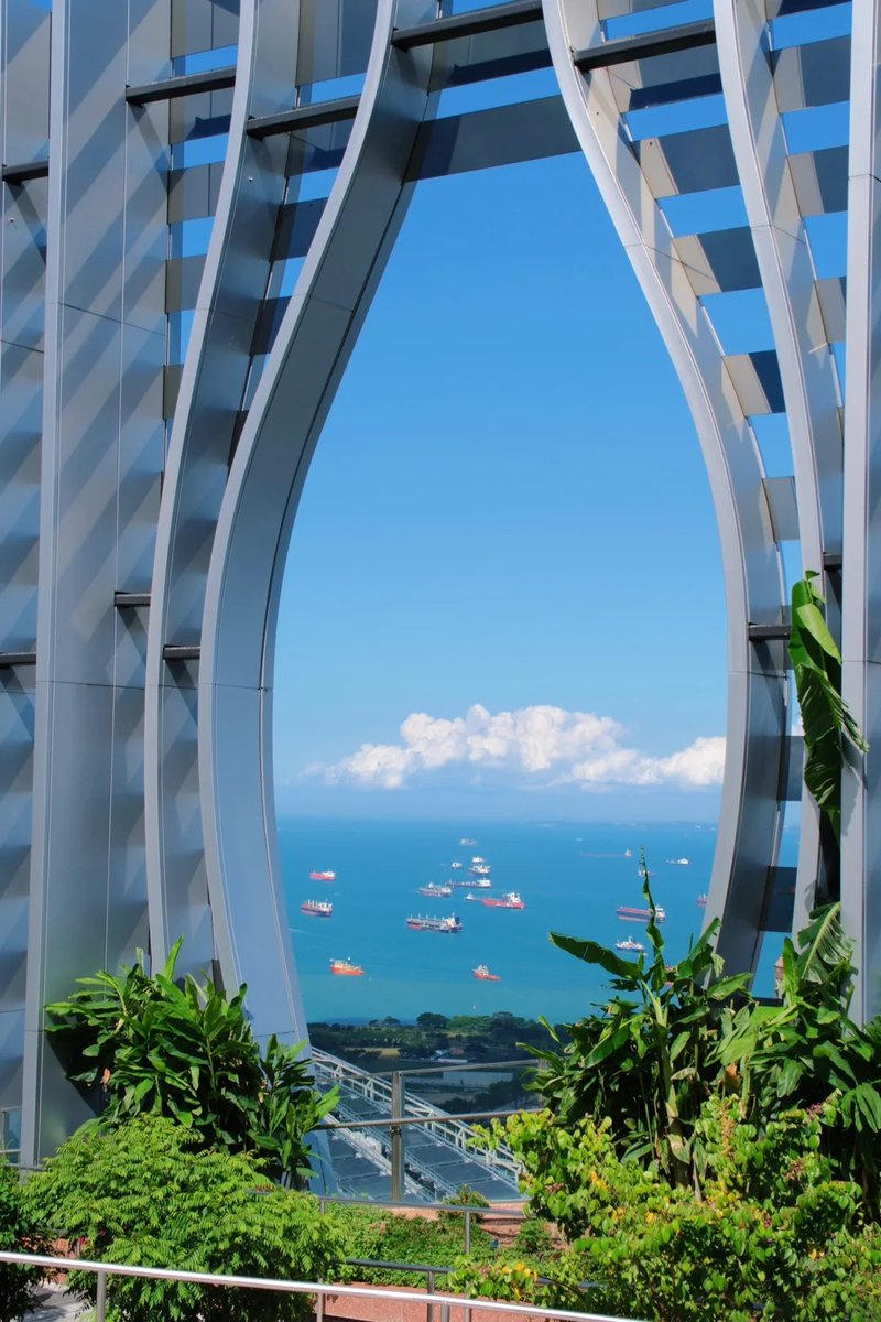 Richcscarrell's tweet image. 📷Singapore｜CapitaSpring🇸🇬Sky Garden