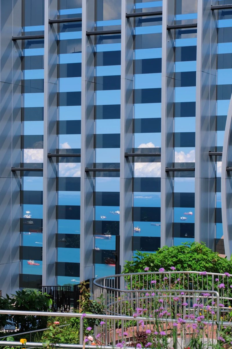 Richcscarrell's tweet image. 📷Singapore｜CapitaSpring🇸🇬Sky Garden