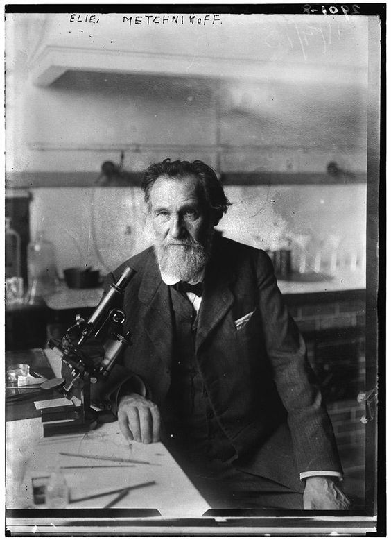 Élie Metchnikoff (also spelled Ilya Ilyich Mechnikov), born in 1845 in the Russian Empire, was a pioneering microbiologist and immunologist whose work has had a profound impact on medical science. His most significant contribution, the discovery of phagocytosis, provided a
