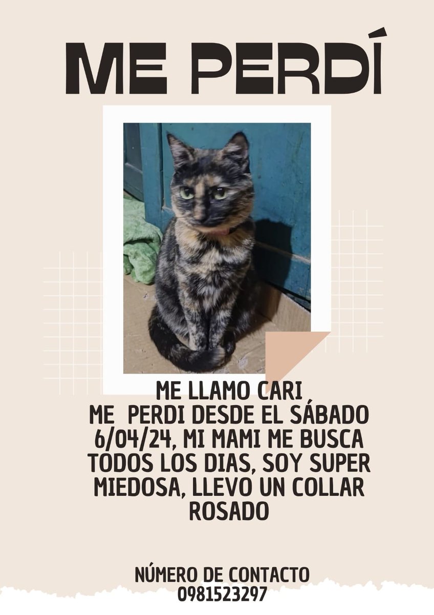 didi_deca's tweet photo. Si me pueden ayudar compartiendo o si la ven me avisan, gracias @perdidospy , @mascotitaspy , @koalandeMichi , @Telefuturo , @pacorescatepy https://t.co/eSJvpxEShz