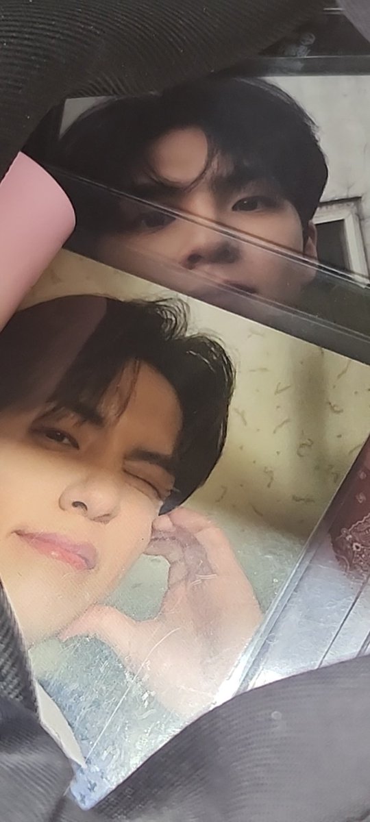 정신없어서 포카 못 꺼냇더니 개가티 힐링중...