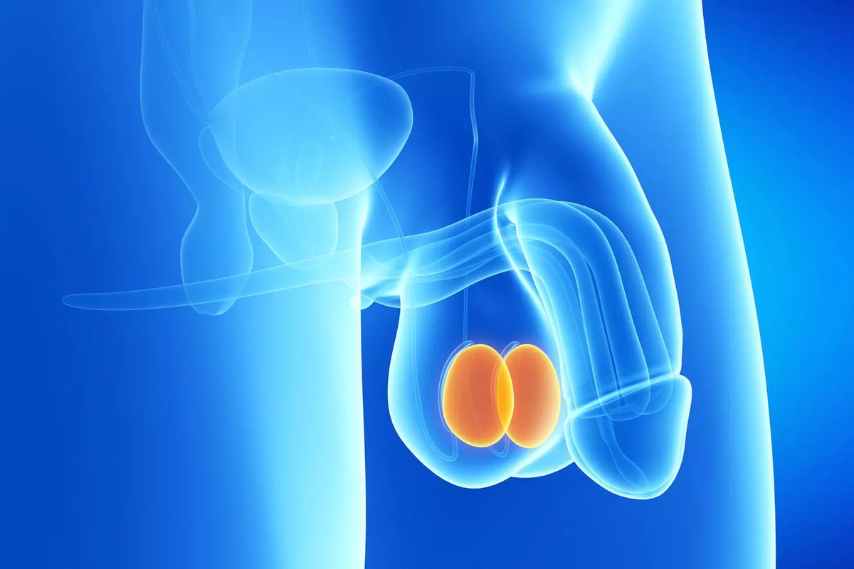 Se baigner avec de l'eau chaude expose fréquemment vos testicules à la chaleur, ce qui réduit le nombre de spermatozoïdes.

La même chose arrive aux hommes qui utilisent souvent les saunas.

Si vous craignez l’infertilité, il est préférable de prendre un bain à l’eau froide.~Fynn