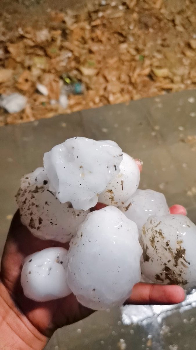 Ar_WeatherWatch's tweet photo. سلطنة عمان - احجام برد هائلة في حقل الخوير النقطي غرب عبري
#منخفض_الهدير #منخفض_المطير #منخفض_جوي #سلطنة_عمان #عبري #برد 

#Lightning #Storm #UAE  #hail #Lightning_storm #hailstorm

 https://t.co/RejnM8bqiH
