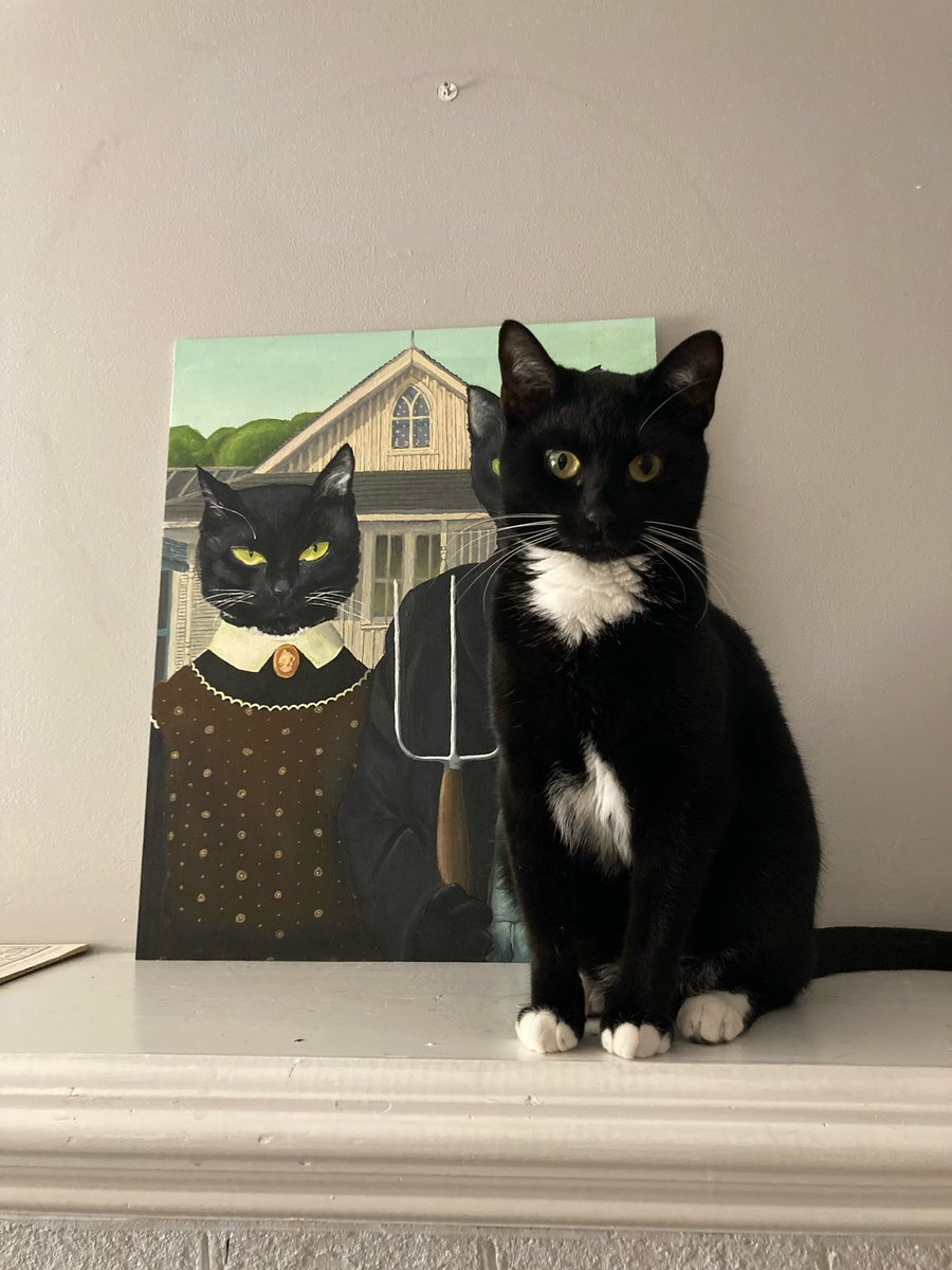 As a wedding present for my daughter and her husband, my son and his friend painted for them a bespoke version of American Gothic. But with their cats. 🐈‍⬛ 🐈‍⬛ Petunia likes to pose with it. And, true to sibling form, occludes her sister Bella.