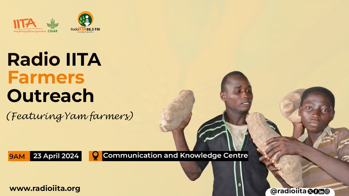 📢 Exciting news! Join us for another edition of the Radio IITA Farmers Outreach Program for farmers on April 23, 2024, at 9AM. This time, we're empowering yam farmers with knowledge, skills, and improved seeds to enhance their agricultural practices! 
 #Empowerment