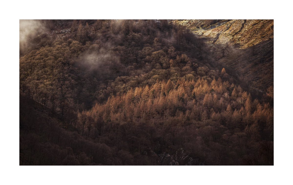 Late night edit 31 Hills of trees #trees #nature #photography