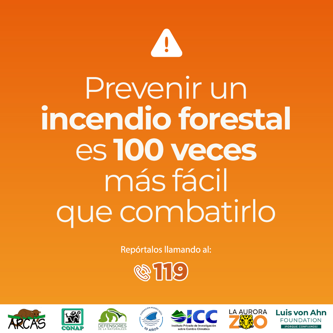 Prevenir un #IncendioForestal es 100 veces más fácil que combatirlo, sin incendios forestales hay más vida . Repórtalos al número de teléfono 119. #NoQuemesLaVida #DiversidadBiológica #ÁreasProtegidasGT #PrevenirEsConservar #ALTOalosIncendiosForestales