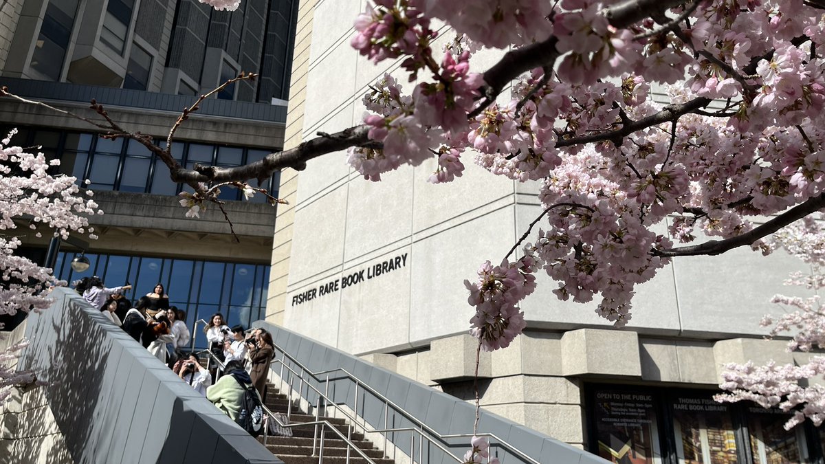 Cherry blossoms <a href="/UofT/">University of Toronto</a>