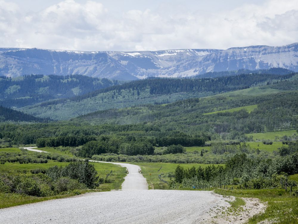 The Alberta government must produce thousands of documents on its attempts to encourage coal mining in the Rocky Mountains after a judge threw out a bid to block their release. Read More: edmontonjournal.com/news/politics/… #abpoli #abenergy